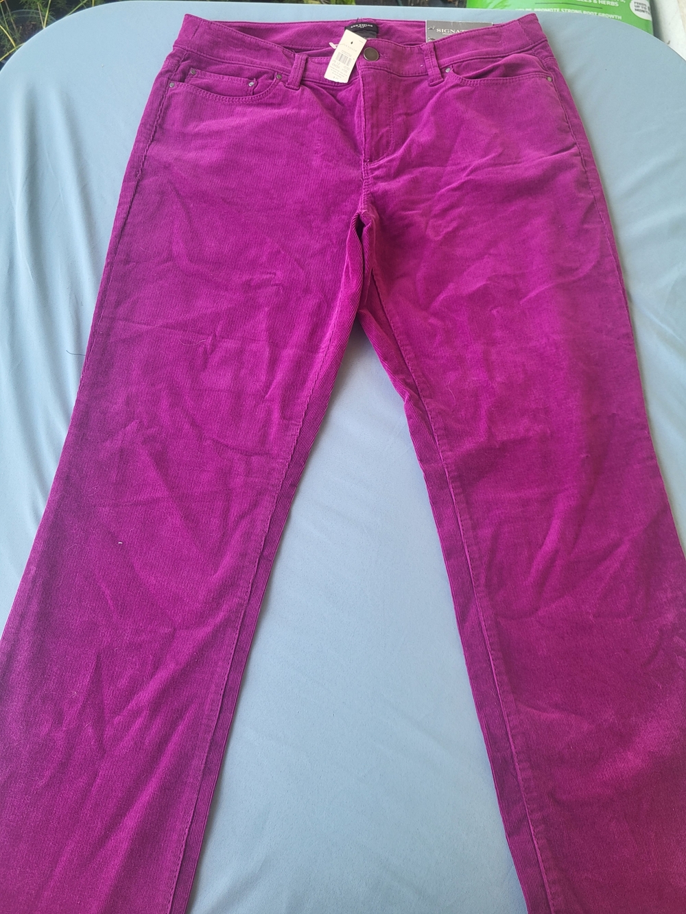 Ann Taylor Fuchsia Straight-Leg Corduroy Jeans